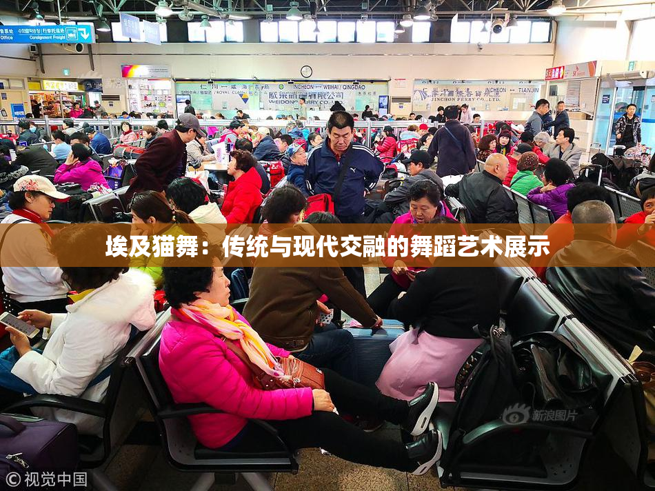 埃及猫舞：传统与现代交融的舞蹈艺术展示