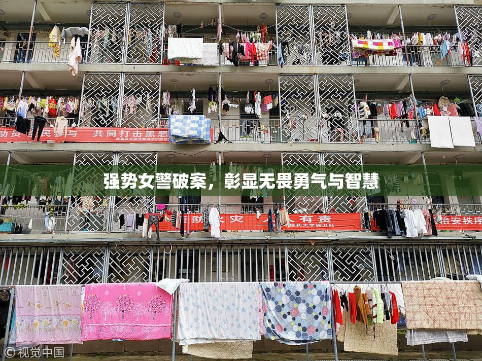 强势女警破案，彰显无畏勇气与智慧