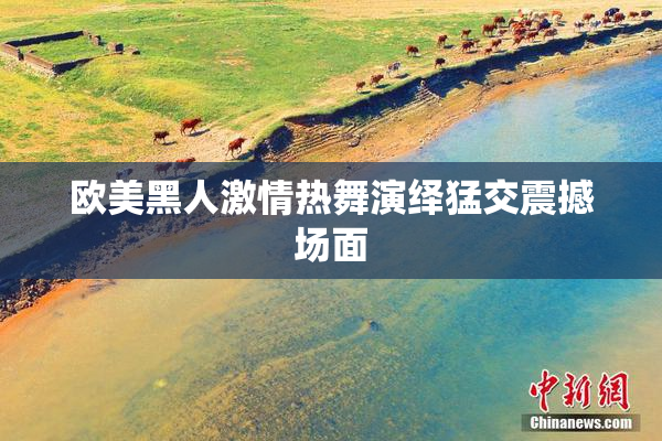欧美黑人激情热舞演绎猛交震撼场面