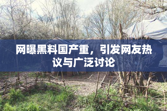 网曝黑料国产重，引发网友热议与广泛讨论