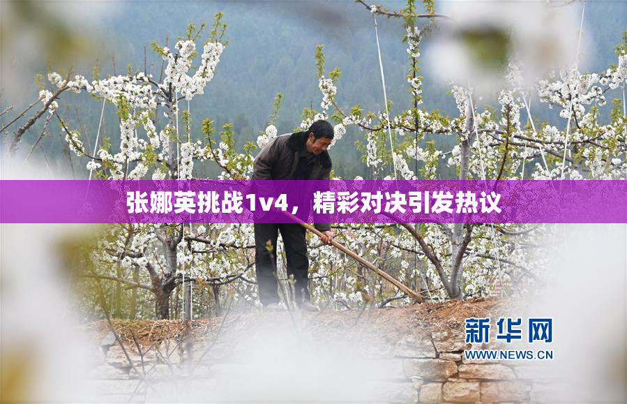 张娜英挑战1v4，精彩对决引发热议