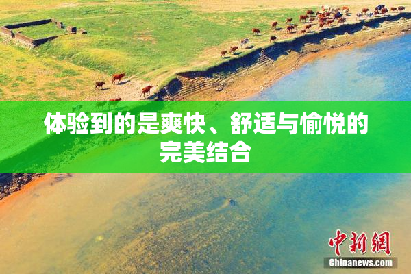 体验到的是爽快、舒适与愉悦的完美结合
