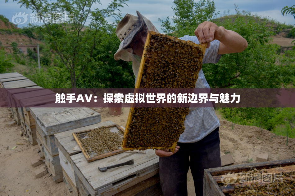 触手AV：探索虚拟世界的新边界与魅力