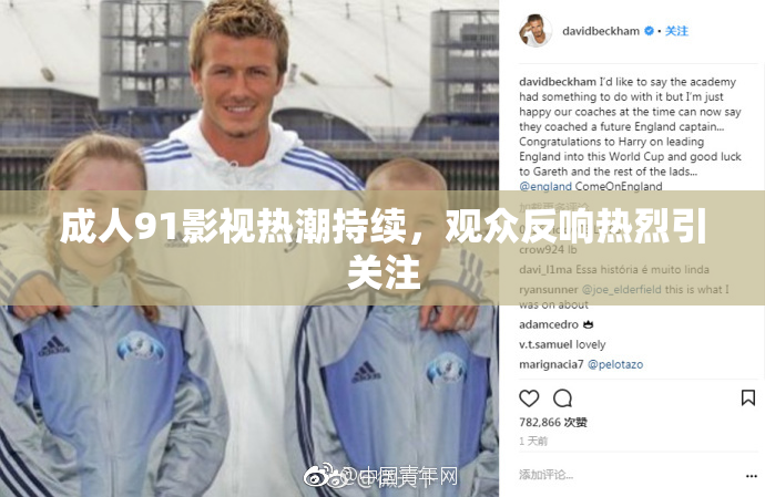 成人91影视热潮持续，观众反响热烈引关注