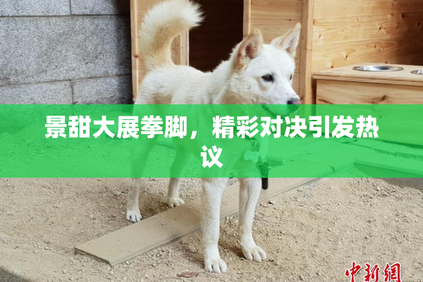 景甜大展拳脚，精彩对决引发热议