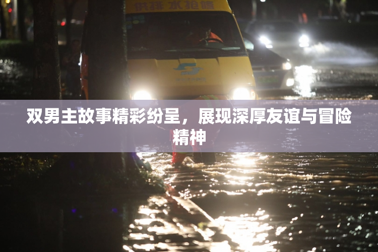 双男主故事精彩纷呈，展现深厚友谊与冒险精神