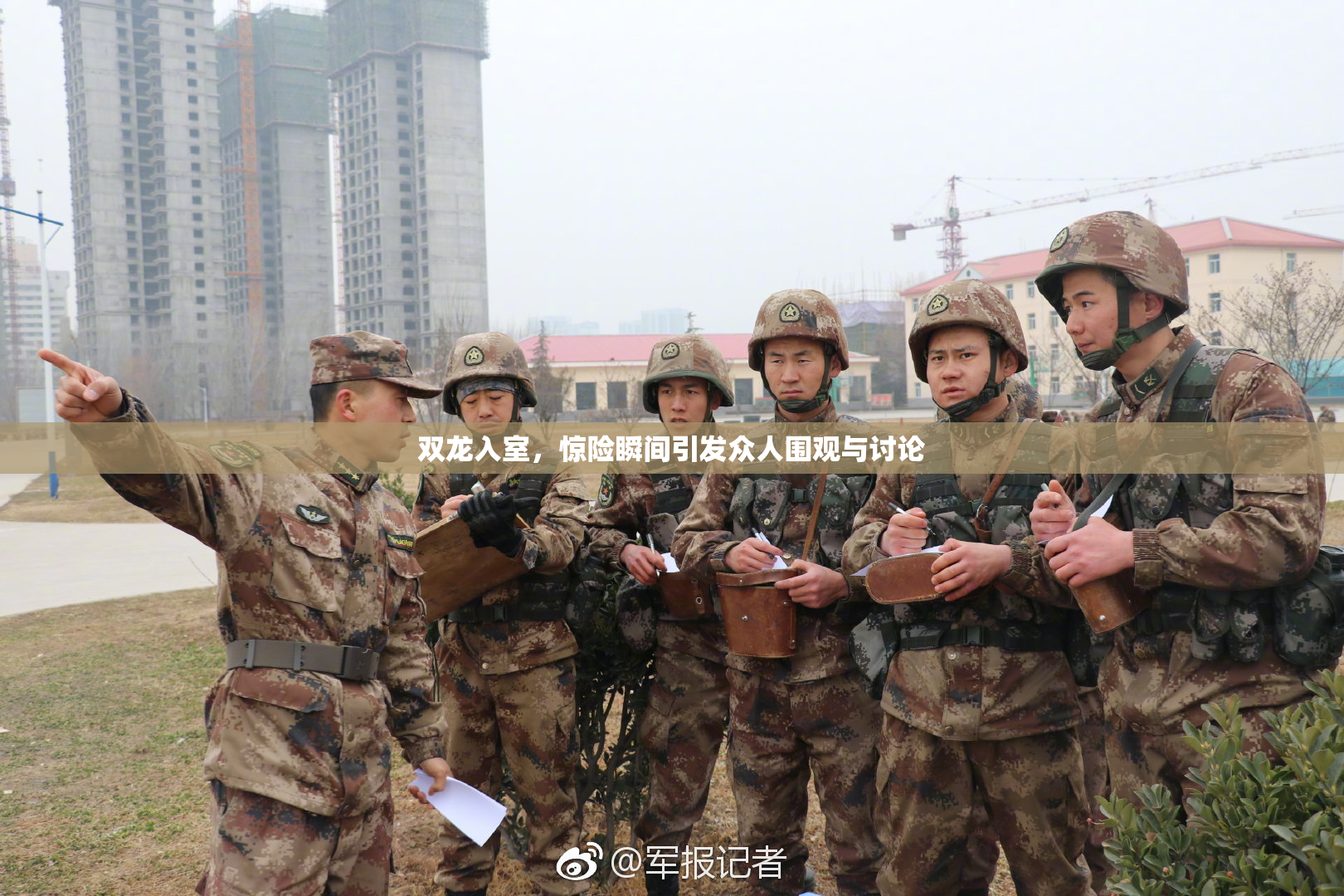 双龙入室，惊险瞬间引发众人围观与讨论