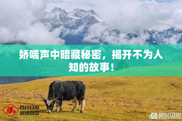 娇喘声中暗藏秘密，揭开不为人知的故事！