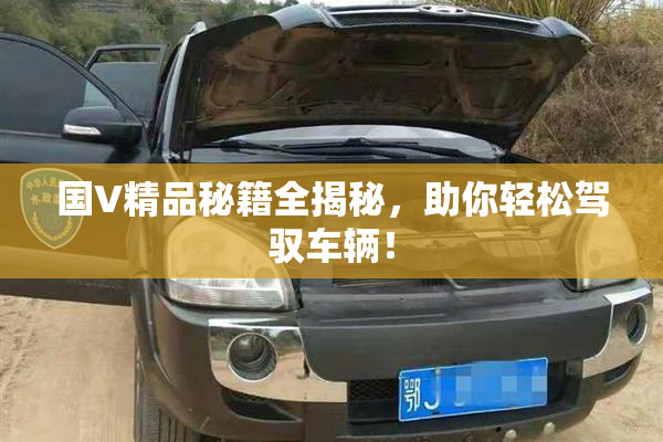 国V精品秘籍全揭秘，助你轻松驾驭车辆！