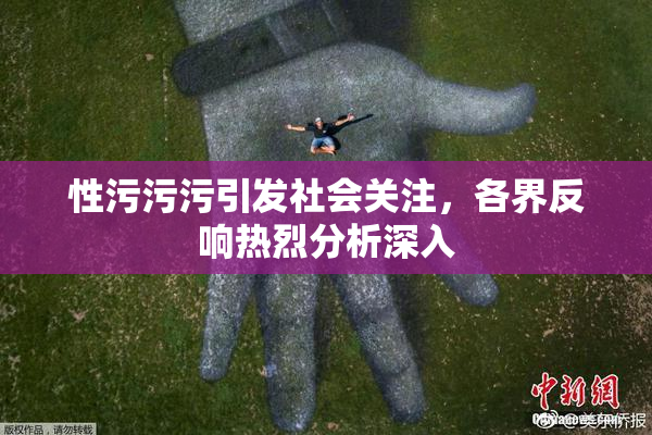 性污污污引发社会关注，各界反响热烈分析深入