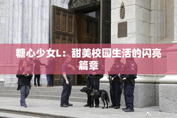 糖心少女L：甜美校园生活的闪亮篇章