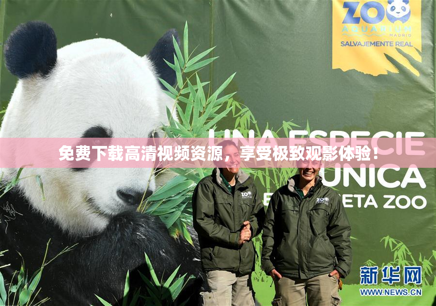免费下载高清视频资源，享受极致观影体验！
