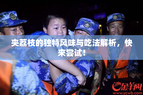 夹荔枝的独特风味与吃法解析，快来尝试！