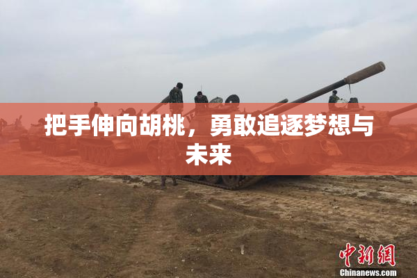把手伸向胡桃，勇敢追逐梦想与未来