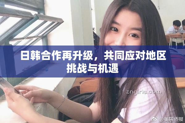 日韩合作再升级，共同应对地区挑战与机遇