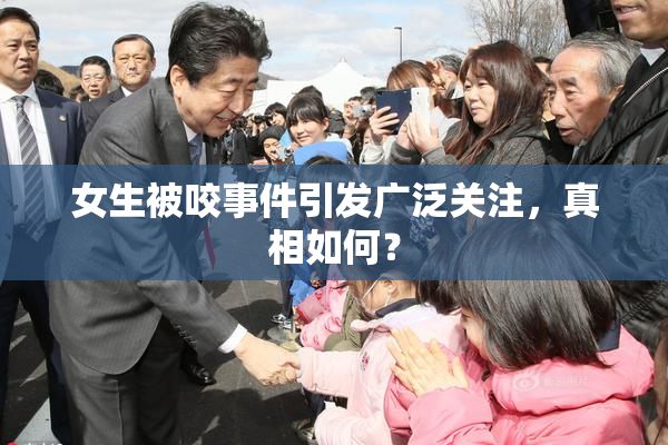 女生被咬事件引发广泛关注，真相如何？