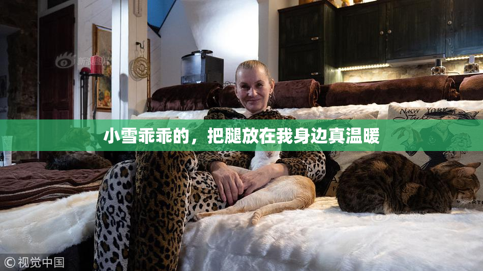 小雪乖乖的，把腿放在我身边真温暖