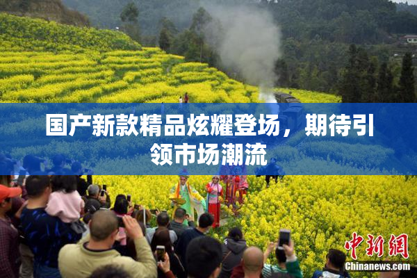 国产新款精品炫耀登场，期待引领市场潮流