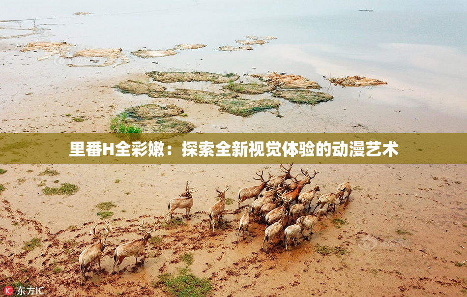 里番H全彩嫩：探索全新视觉体验的动漫艺术