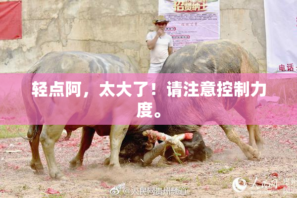 轻点阿，太大了！请注意控制力度。