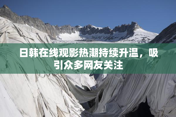 日韩在线观影热潮持续升温，吸引众多网友关注
