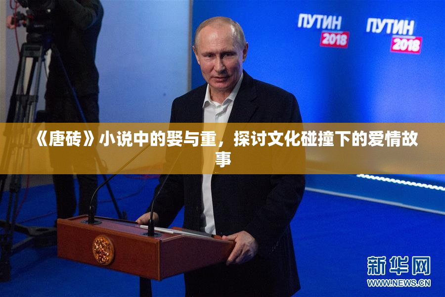 《唐砖》小说中的娶与重，探讨文化碰撞下的爱情故事