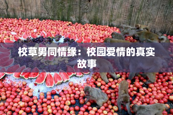 校草男同情缘：校园爱情的真实故事