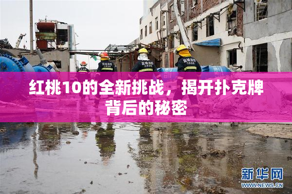 红桃10的全新挑战，揭开扑克牌背后的秘密