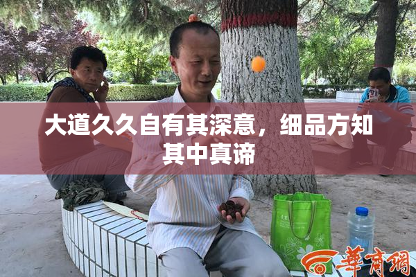 大道久久自有其深意，细品方知其中真谛