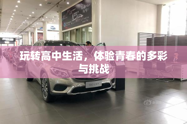 玩转高中生活，体验青春的多彩与挑战