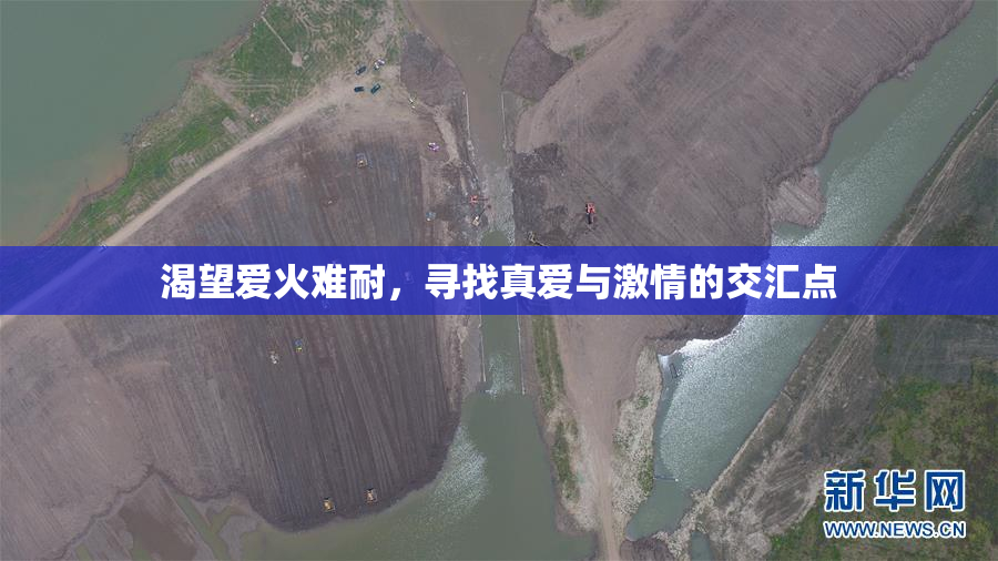 渴望爱火难耐，寻找真爱与激情的交汇点