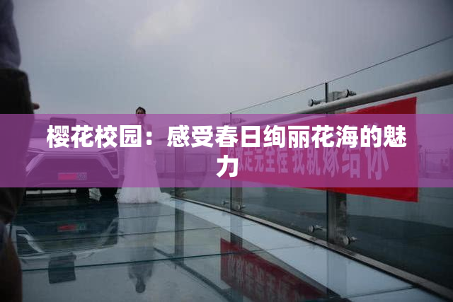 樱花校园：感受春日绚丽花海的魅力