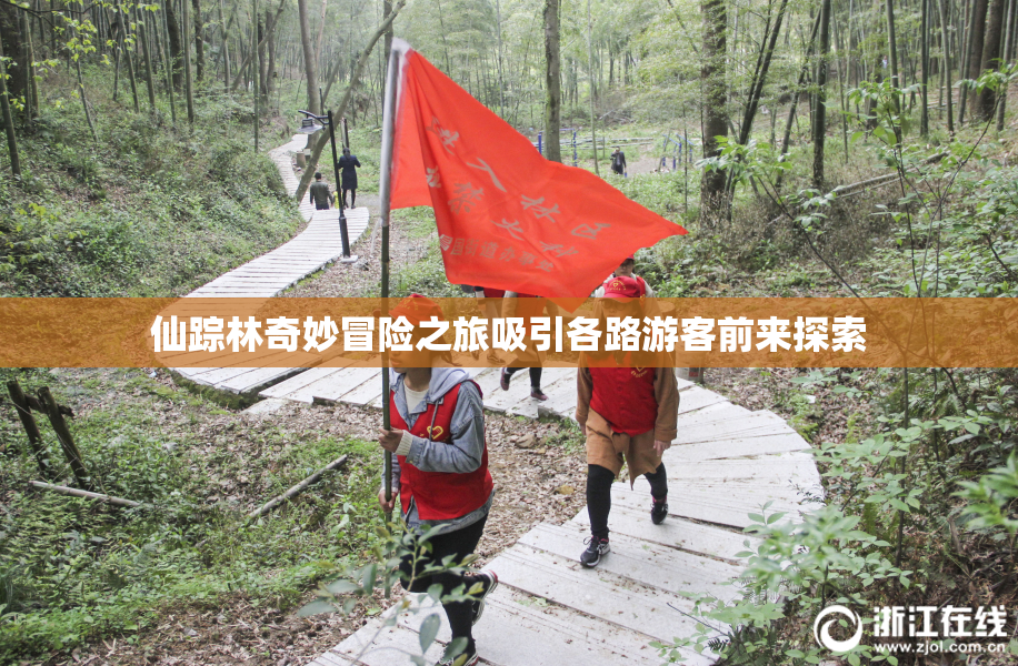 仙踪林奇妙冒险之旅吸引各路游客前来探索