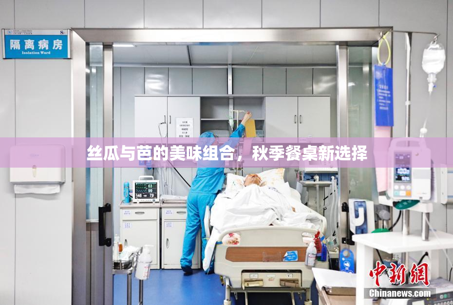 丝瓜与芭的美味组合，秋季餐桌新选择