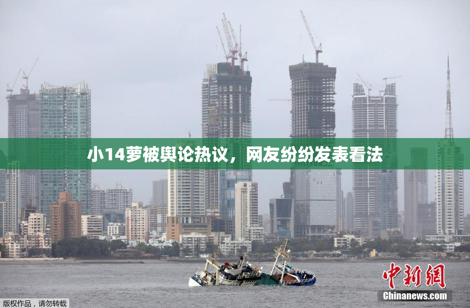 小14萝被舆论热议，网友纷纷发表看法