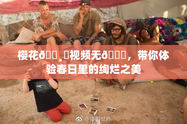 樱花🌸‌视频无🈚，带你体验春日里的绚烂之美