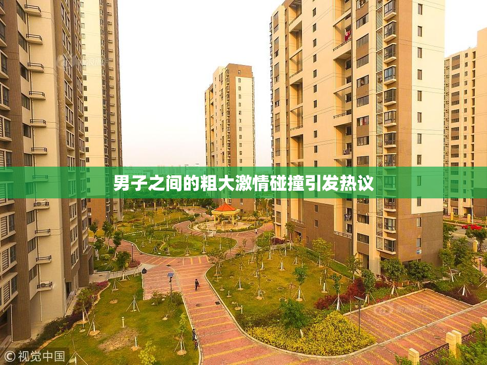 男子之间的粗大激情碰撞引发热议
