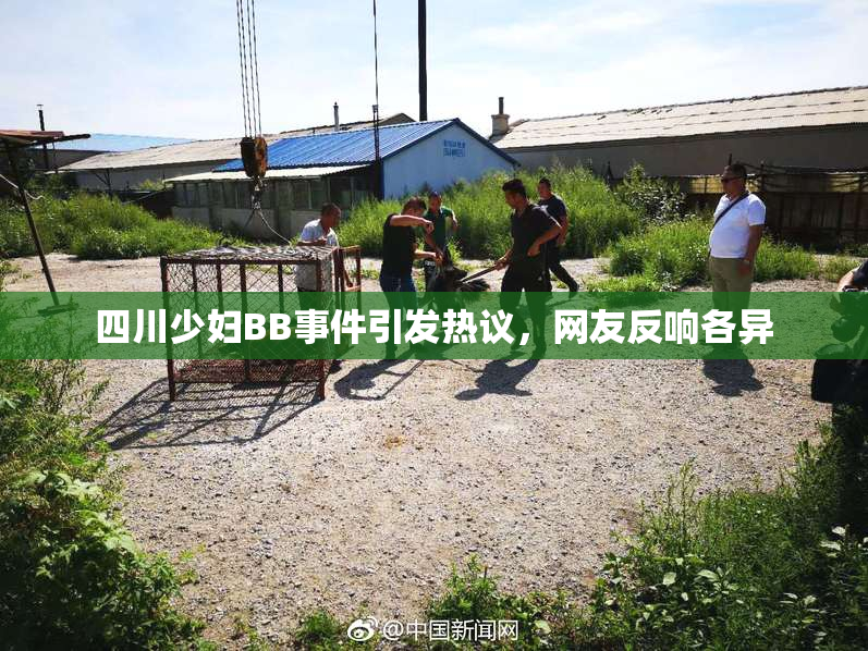 四川少妇BB事件引发热议，网友反响各异