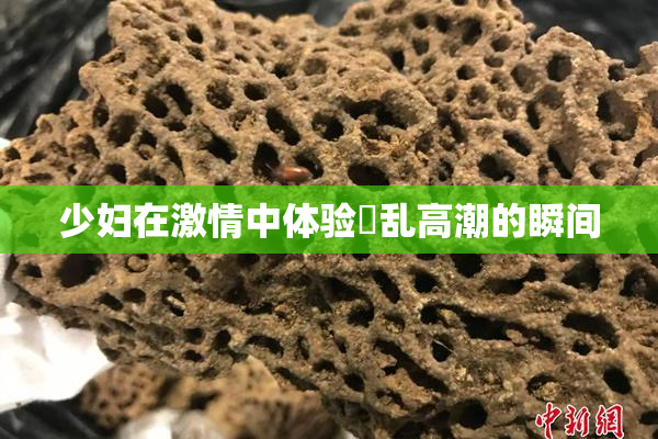 少妇在激情中体验婬乱高潮的瞬间