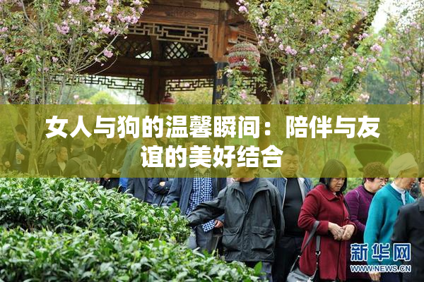 女人与狗的温馨瞬间：陪伴与友谊的美好结合