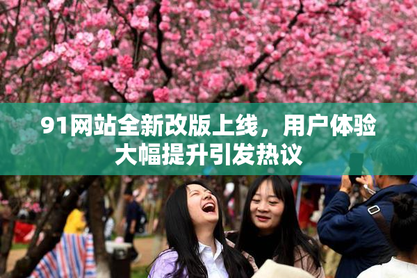 91网站全新改版上线，用户体验大幅提升引发热议