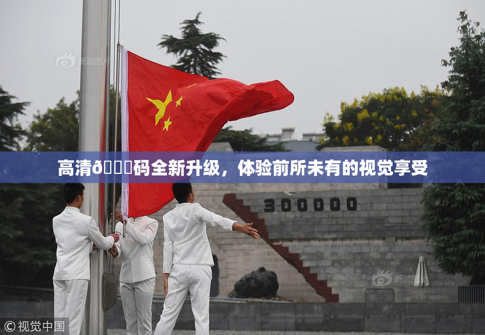 高清🈚码全新升级，体验前所未有的视觉享受