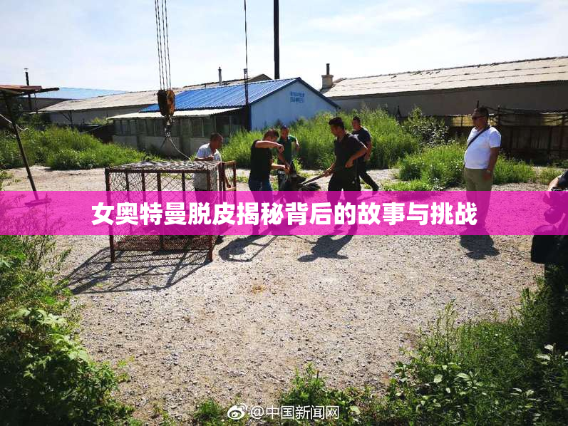 女奥特曼脱皮揭秘背后的故事与挑战