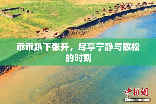 乖乖趴下张开，尽享宁静与放松的时刻