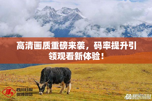 高清画质重磅来袭，码率提升引领观看新体验！