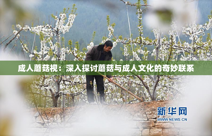 成人蘑菇视：深入探讨蘑菇与成人文化的奇妙联系