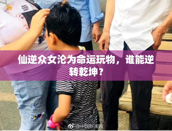 仙逆众女沦为命运玩物，谁能逆转乾坤？