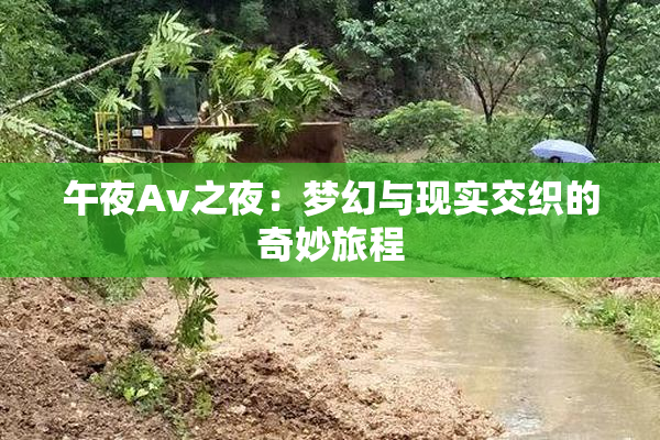 午夜Av之夜：梦幻与现实交织的奇妙旅程