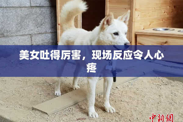 美女吐得厉害，现场反应令人心疼