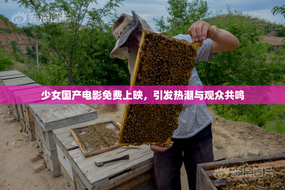少女国产电影免费上映，引发热潮与观众共鸣